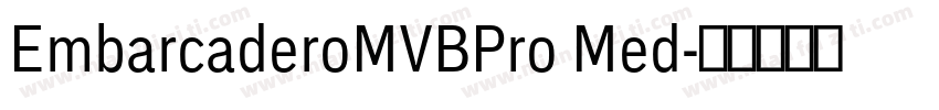 EmbarcaderoMVBPro Med字体转换
